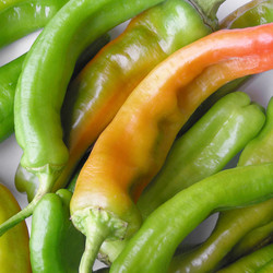 Similar image 3067931