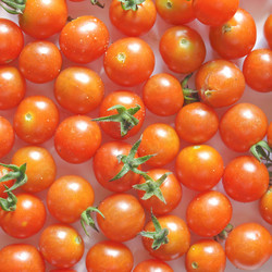 Similar image 3069842