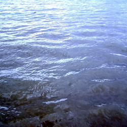 Similar image 3069880