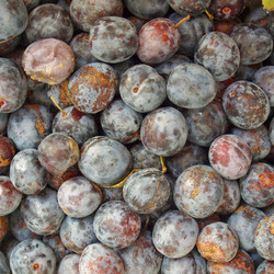 Similar image 3069957