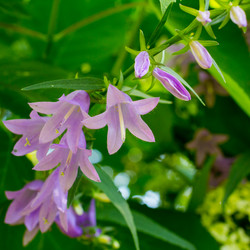 Similar image 3070400