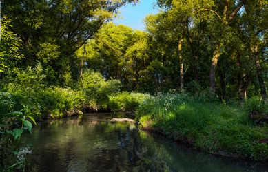 Similar image 3070436