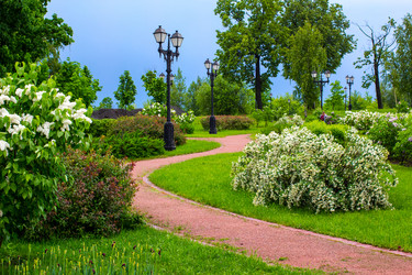 Similar image 3071290