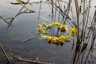 Similar image 3071328