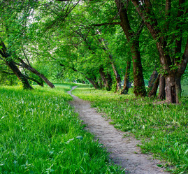 Similar image 3071361