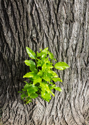 Similar image 3071368