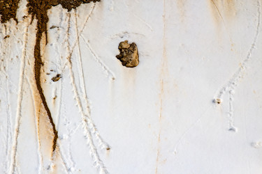 Similar image 3071399