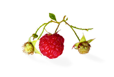 Similar image 3071897