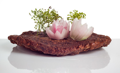 Similar image 3071921