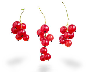 Similar image 3071953