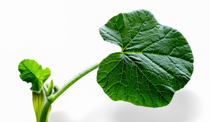 Similar image 3071963