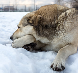 Similar image 3072803