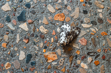 Similar image 3072831