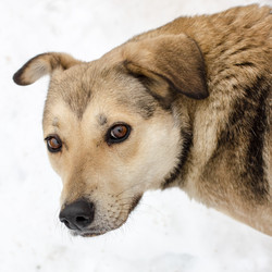 Similar image 3072832