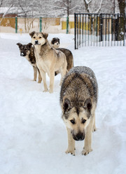 Similar image 3072936