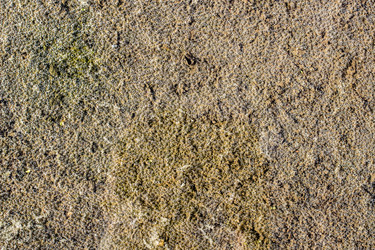 Similar image 3073192