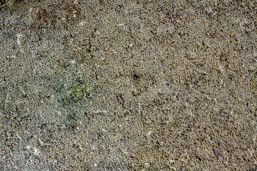 Similar image 3073221