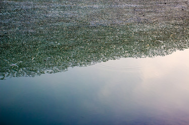 Similar image 3074529