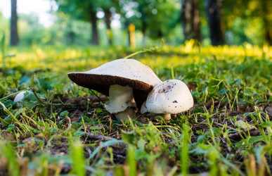 Similar image 3074647