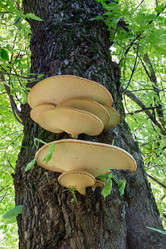 Similar image 3074661