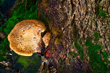 Similar image 3074681