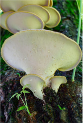 Similar image 3074697