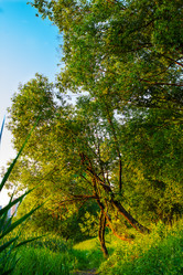 Similar image 3074716