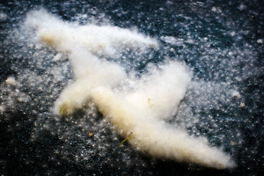 Similar image 3074750