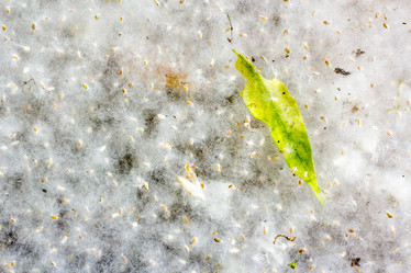 Similar image 3074784