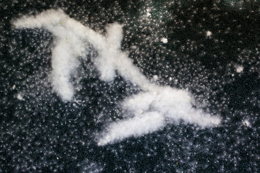 Similar image 3074811