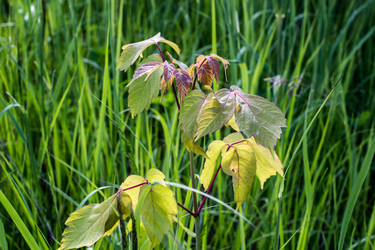 Similar image 3074834