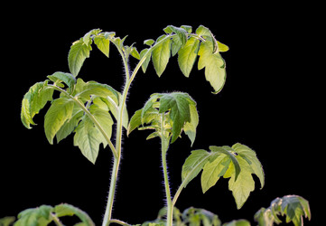 Similar image 3079069