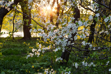 Similar image 3079080