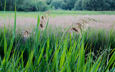 Similar image 3079284