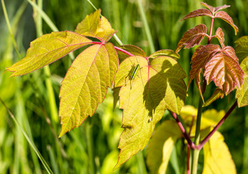 Similar image 3079297