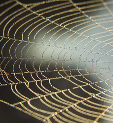 Similar image 3079323