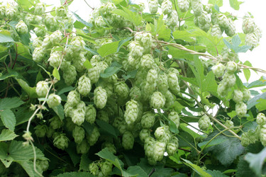 Similar image 3081658