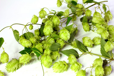 Similar image 3081681