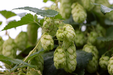 Similar image 3081697