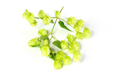 Similar image 3081741