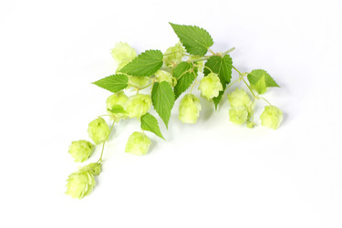 Similar image 3082533