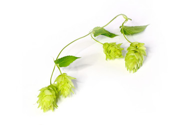 Similar image 3082534