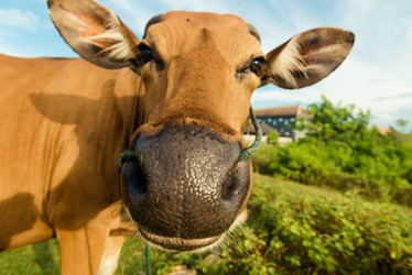 Similar image 3082702