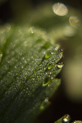 Similar image 3082728