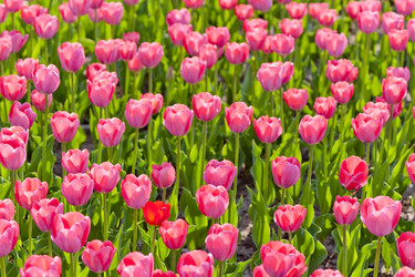 Similar image 3086139