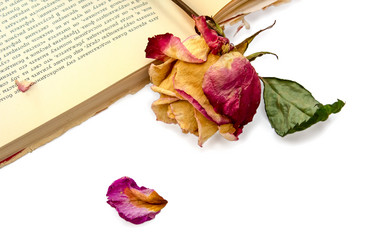 Similar image 3088956