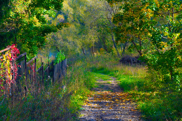 Similar image 3089092