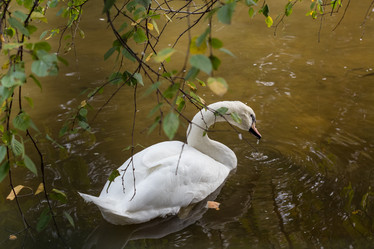 Similar image 3089138