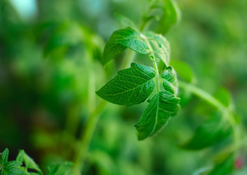 Similar image 3089147