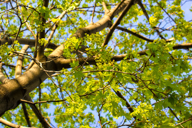 Similar image 3089165